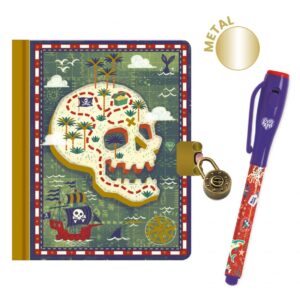 Djeco - Dagboek Steve